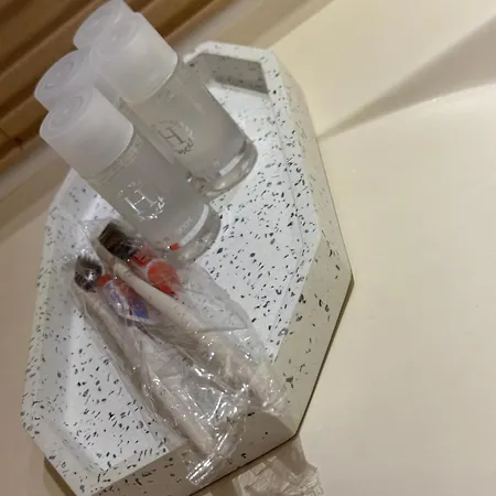 شقة Sauvage بوخارست